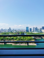 検索結果：大阪城の景色には勝てません