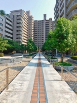 幸せへと続く道