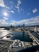 検索結果：これぞタワマン！